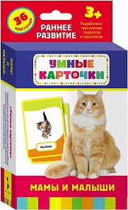 Умные карточки «Мамы и малыши» (Росмэн, 21004ros)